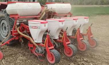 Mısır Ekimleri Dernek Makinası ile Dernek Adına Yapılmaktadır.