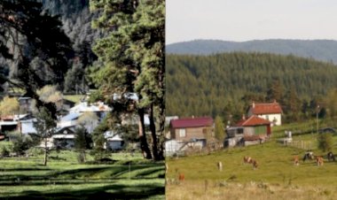 30 Haziran 2024 Tarihinde Örencik Köyü Olarak Yayla Bayramı Tertip edilmiştir