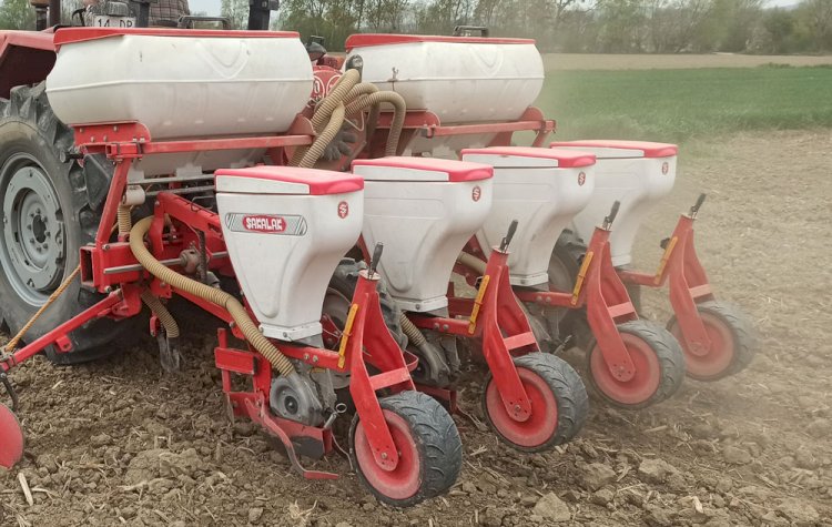 Mısır Ekimleri Dernek Makinası ile Dernek Adına Yapılmaktadır.